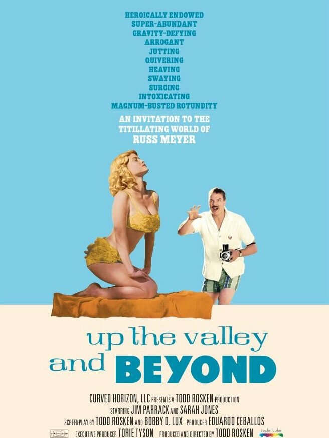 Up the Valley and Beyond (2013) постер