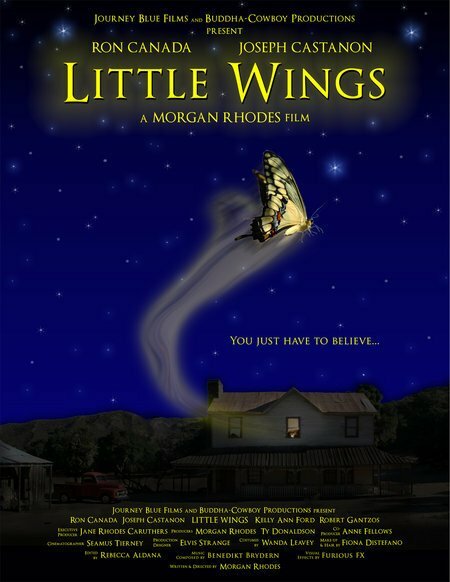 Маленькие крылья (2007) постер