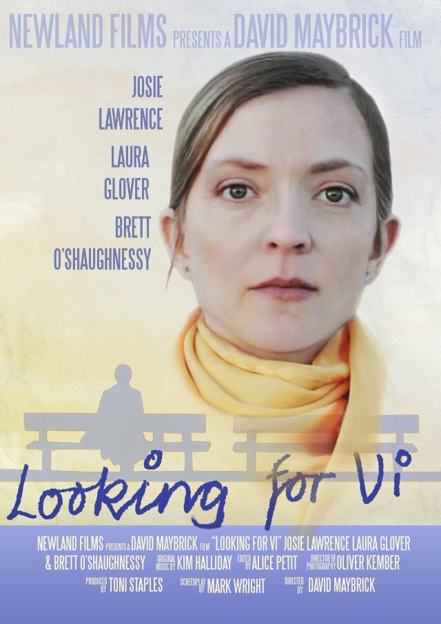 Looking for Vi (2014) постер