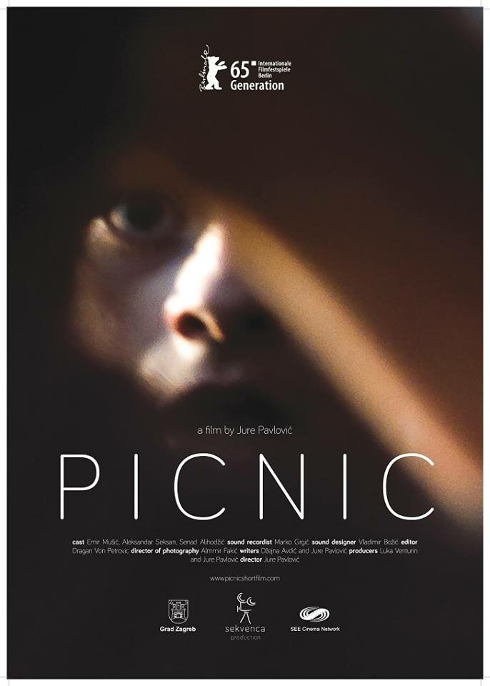 Пикник (2015) постер