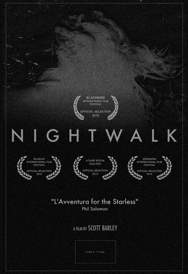 Nightwalk (2013) постер