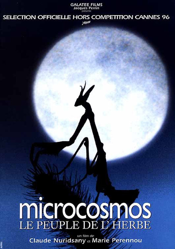 Микрокосмос (1996) постер