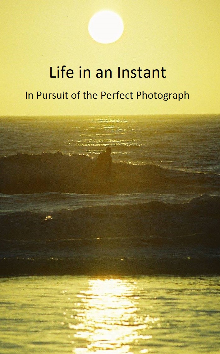 Life in an Instant: In Pursuit of the Perfect Photograph (2020) постер