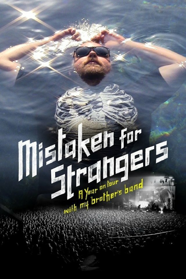 Принятые за незнакомцев (2013) постер