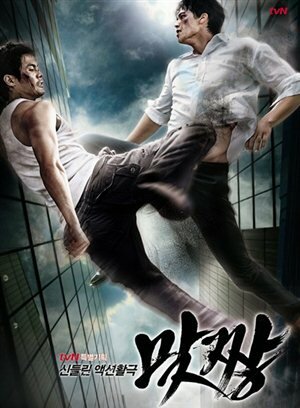 Уличный боец (2008) постер