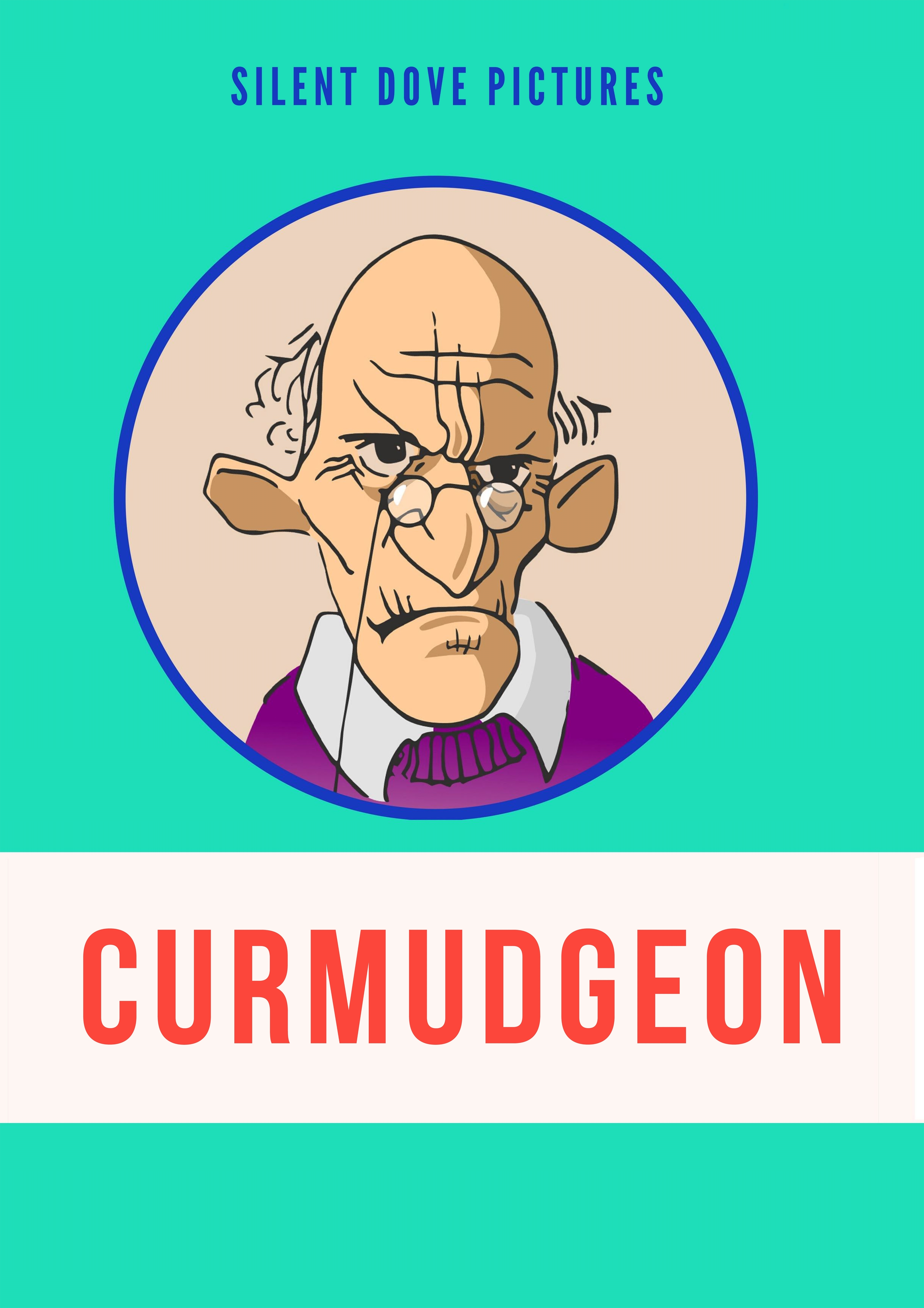 The Curmudgeon (2022) постер