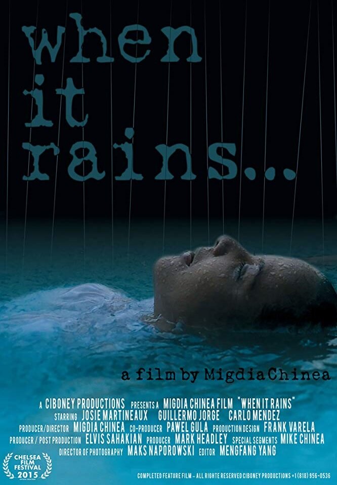 When It Rains (2015) постер