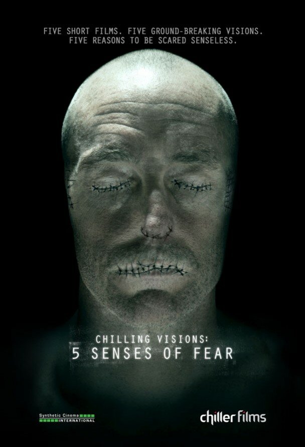 5 чувств страха (2013) постер