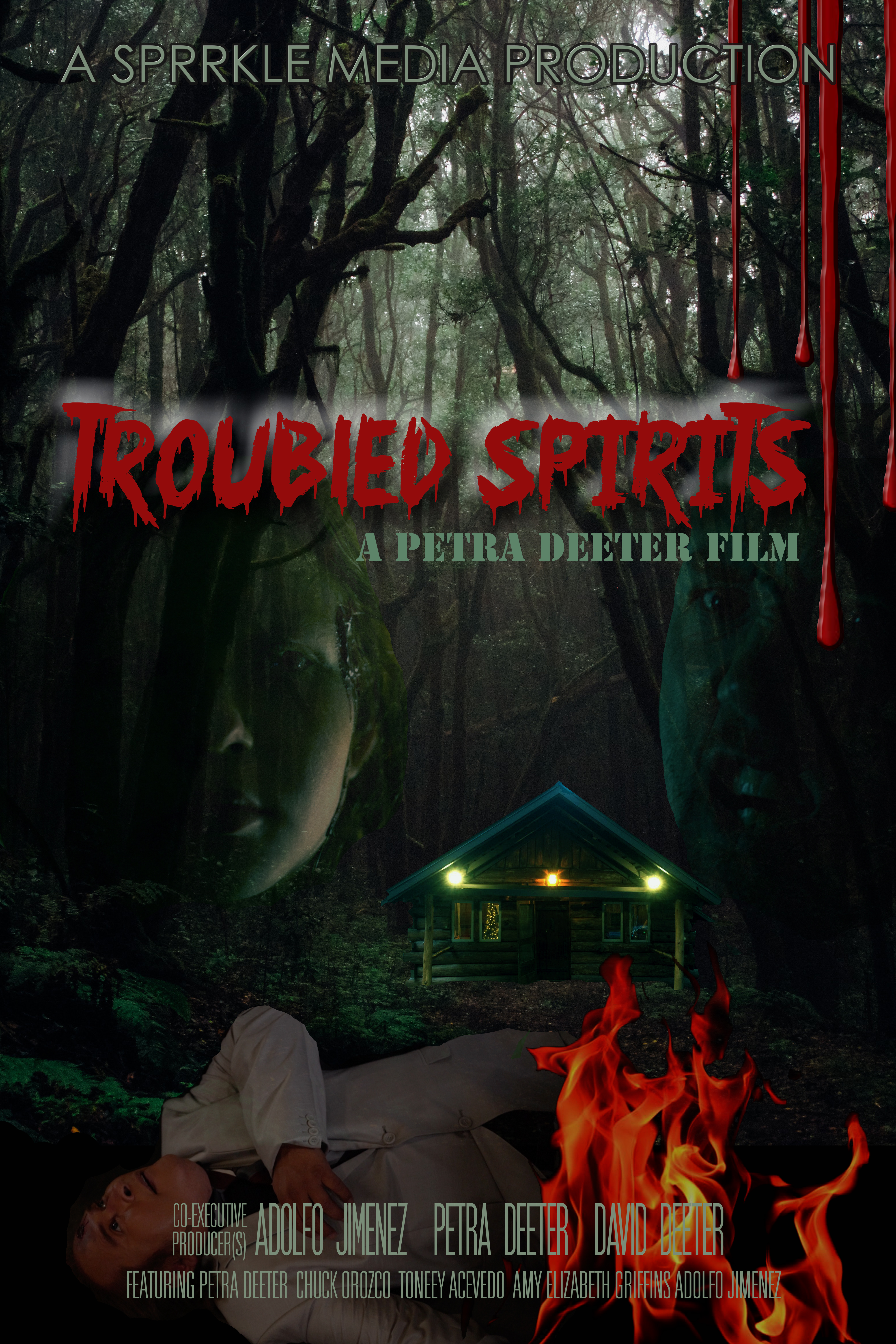 Troubled Spirits (2019) постер