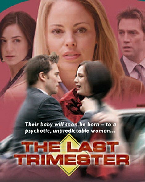 The Last Trimester (2007) постер