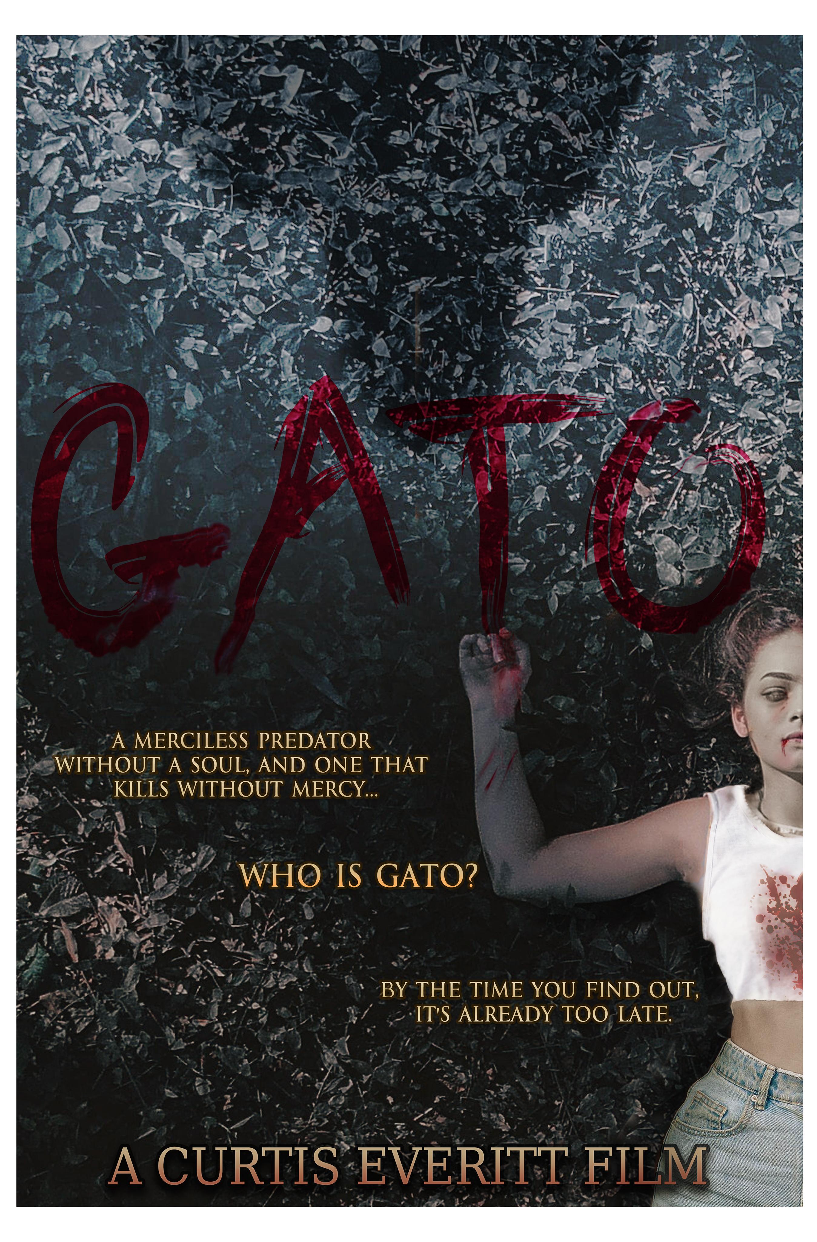 Gato (2020) постер
