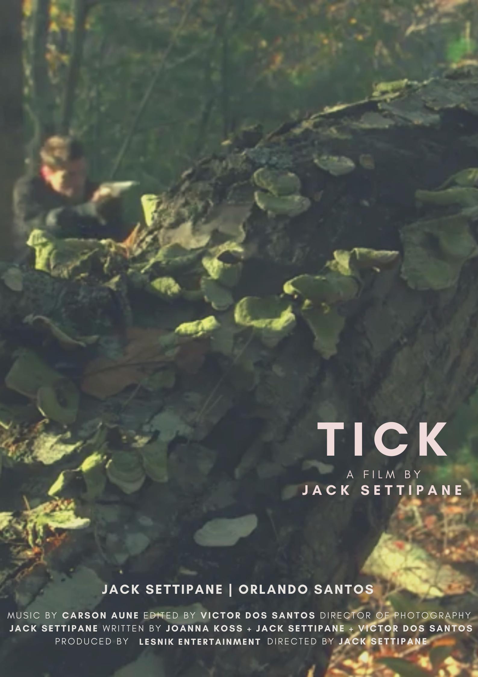 Tick (2020) постер