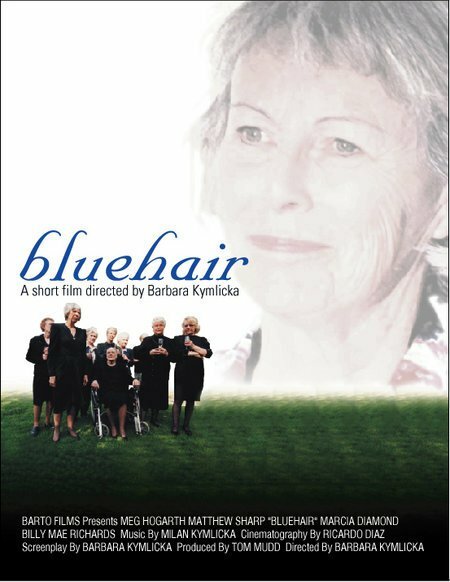 Bluehair (2001) постер